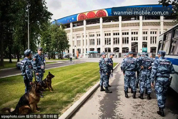 完美体育登录入口安装教程 世界杯安保策略调整教程:英警员外派规模缩减背后的行业趋势洞察